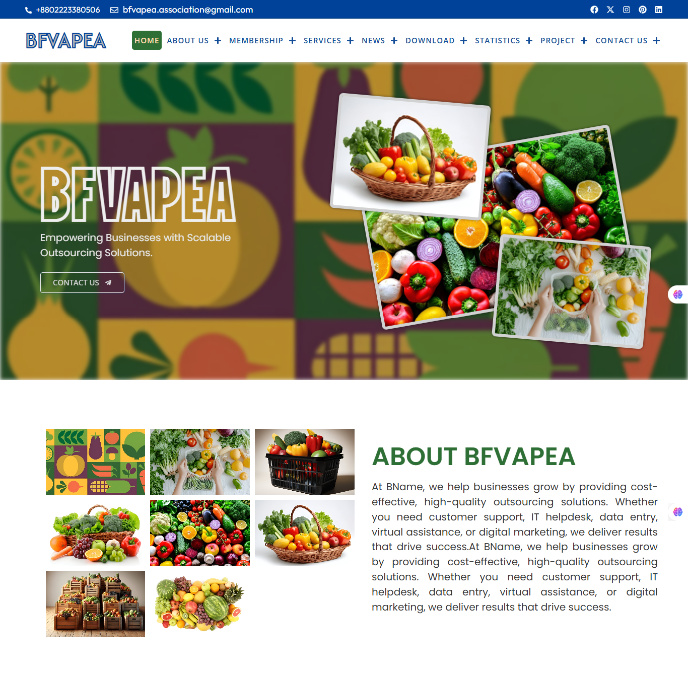 Bfvapea – Bangladesh Fruits Vegetables Allied Products Exporter S Association 07 21 2025 03 03 Pm